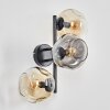Ripoll globe light, wall light Amber, clear, Smoke-coloured, 3-light sources