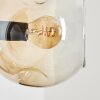 Ripoll globe light, wall light Amber, clear, Smoke-coloured, 3-light sources