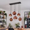 Gastor hanging light, globe light, pendant light clear, coppery, 6-light sources