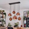 Gastor hanging light, globe light, pendant light clear, coppery, 6-light sources