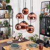 Gastor hanging light, globe light, pendant light clear, coppery, 6-light sources