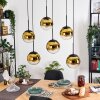Gastor hanging light, globe light, pendant light gold, clear, 6-light sources