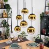 Gastor hanging light, globe light, pendant light gold, clear, 6-light sources
