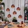 Gastor hanging light, globe light, pendant light clear, coppery, 6-light sources