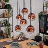 Gastor hanging light, globe light, pendant light clear, coppery, 6-light sources