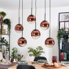 Gastor hanging light, globe light, pendant light clear, coppery, 6-light sources