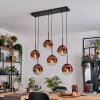 Gastor hanging light, globe light, pendant light clear, coppery, 6-light sources