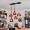 Gastor hanging light, globe light, pendant light clear, coppery, 6-light sources