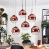 Gastor hanging light, globe light, pendant light clear, coppery, 6-light sources