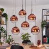Gastor hanging light, globe light, pendant light clear, coppery, 6-light sources