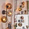 Koyoto globe light, wall light gold, clear, coppery, Smoke-coloured, 3-light sources