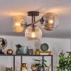 Gastor ceiling light, globe light Amber, clear, Smoke-coloured, 3-light sources