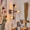 Gastor globe light, wall light clear, 3-light sources