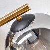 Ripoll ceiling light, globe light gold, black, 3-light sources