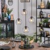 Ripoll hanging light, globe light, Cluster pendant lamp clear, 4-light sources