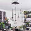 Ripoll hanging light, globe light, Cluster pendant lamp clear, 4-light sources
