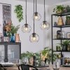 Ripoll hanging light, globe light, Cluster pendant lamp clear, 4-light sources