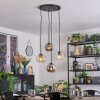 Ripoll hanging light, globe light, Cluster pendant lamp Amber, clear, Smoke-coloured, 4-light sources