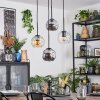 Ripoll hanging light, globe light, Cluster pendant lamp Amber, clear, Smoke-coloured, 4-light sources