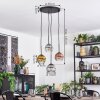 Ripoll hanging light, globe light, Cluster pendant lamp gold, clear, coppery, Smoke-coloured, 4-light sources