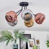 Ripoll ceiling light, globe light chrome, gold, coppery, Smoke-coloured, 5-light sources
