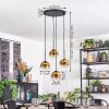 Ripoll hanging light, globe light, Cluster pendant lamp gold, clear, 4-light sources