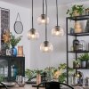 Ripoll hanging light, globe light, Cluster pendant lamp clear, 4-light sources
