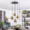 Ripoll hanging light, globe light, Cluster pendant lamp gold, 4-light sources