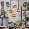 Ripoll hanging light, globe light, Cluster pendant lamp gold, 4-light sources