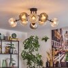 Koyoto ceiling light, globe light Amber, clear, Smoke-coloured, 8-light sources