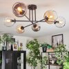 Koyoto ceiling light, globe light 78 cm Amber, clear, Smoke-coloured, 6-light sources