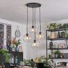 Ripoll hanging light, globe light, Cluster pendant lamp clear, 4-light sources