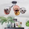 Ripoll ceiling light, globe light chrome, gold, coppery, Smoke-coloured, 5-light sources