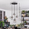 Ripoll hanging light, globe light, Cluster pendant lamp chrome, clear, Smoke-coloured, 4-light sources
