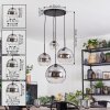 Koyoto hanging light, globe light, Cluster pendant lamp clear, Smoke-coloured, 4-light sources