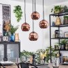 Ripoll hanging light, globe light, Cluster pendant lamp coppery, 4-light sources