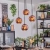 Ripoll hanging light, globe light, Cluster pendant lamp coppery, 4-light sources