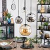 Koyoto hanging light, globe light, Cluster pendant lamp Amber, chrome, clear, Smoke-coloured, 4-light sources