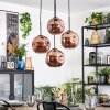 Ripoll hanging light, globe light, Cluster pendant lamp coppery, 4-light sources