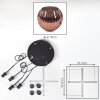 Ripoll hanging light, globe light, Cluster pendant lamp coppery, 4-light sources