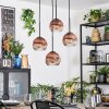Ripoll hanging light, globe light, Cluster pendant lamp clear, coppery, 4-light sources