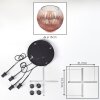 Ripoll hanging light, globe light, Cluster pendant lamp clear, coppery, 4-light sources