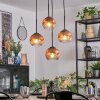 Ripoll hanging light, globe light, Cluster pendant lamp clear, coppery, 4-light sources