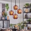 Ripoll hanging light, globe light, Cluster pendant lamp coppery, 4-light sources