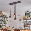 Ripoll hanging light, globe light, pendant light Amber, clear, Smoke-coloured, 6-light sources