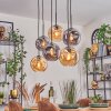 Ripoll hanging light, globe light, pendant light Amber, Smoke-coloured, 6-light sources