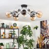 Koyoto ceiling light, globe light 81 cm Amber, chrome, clear, Smoke-coloured, 10-light sources