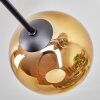 Koyoto ceiling light, globe light 72 cm chrome, gold, clear, coppery, Smoke-coloured, 6-light sources