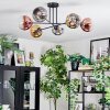 Koyoto ceiling light, globe light 72 cm chrome, gold, clear, coppery, Smoke-coloured, 6-light sources