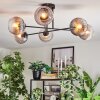 Koyoto ceiling light, globe light 78 cm clear, Smoke-coloured, 6-light sources